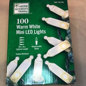 Home Accents Holiday 100 Warm White Mini LED Lights, New in box